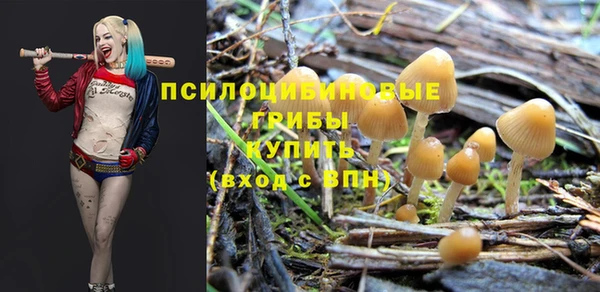 ALPHA-PVP Арсеньев